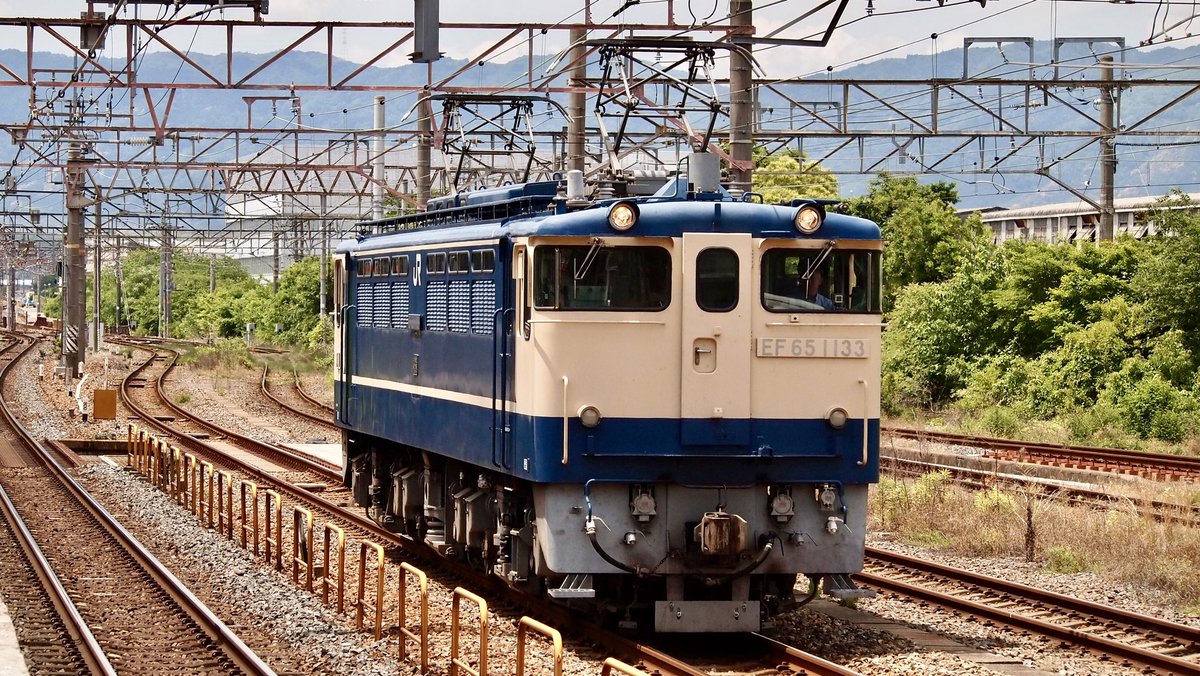 zoomingm7's tweet photo. ご近所でのEF65おっかけ(*´∀｀)＊ 
08/05/14（木）単7992レ 梅小路配給
EF65 1133

新緑が美しいですね

#下関機関区
#PF
#国鉄色
#ブルトレ世代
#ゆる鐡 https://t.co/BpqOYw6Ig2