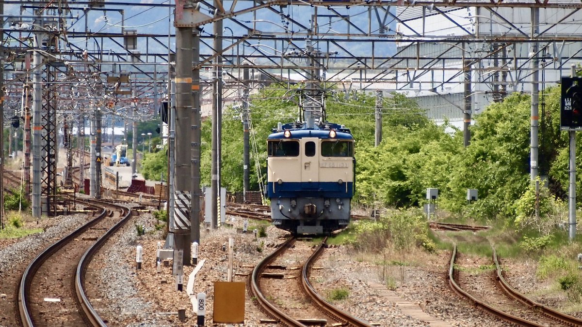 zoomingm7's tweet photo. ご近所でのEF65おっかけ(*´∀｀)＊ 
08/05/14（木）単7992レ 梅小路配給
EF65 1133

新緑が美しいですね

#下関機関区
#PF
#国鉄色
#ブルトレ世代
#ゆる鐡 https://t.co/BpqOYw6Ig2