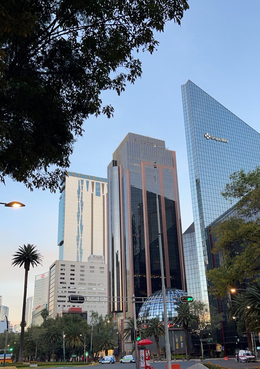 ViewsAndTravel's tweet photo. Mexico City 🇲🇽 🏙️ 🌴 https://t.co/Y8jXChEDKz