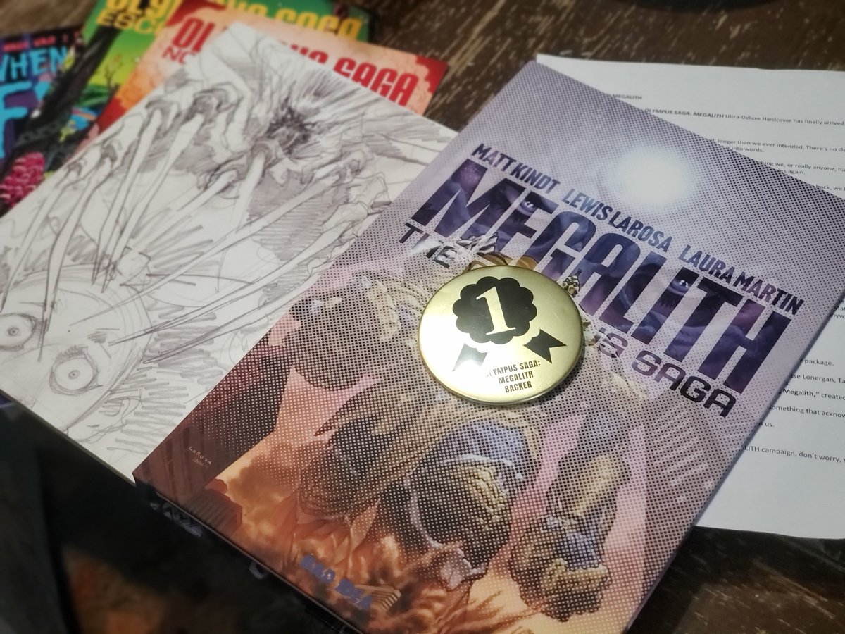 BookdragonKlo's tweet photo. Woo-hoo!!!!! Look what I got in the mail. Kickstarter for the win. And look another pin. Hooray. Love you guys #badidea (the cat was not delivered in the mail she just wanted to say thanks too) https://t.co/rdm3i8ao9U