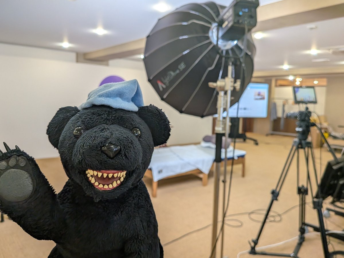 ねむれないくま(ほぼ日) tweet media