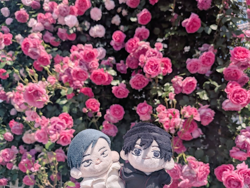 練馬偵察の偵察 tweet media