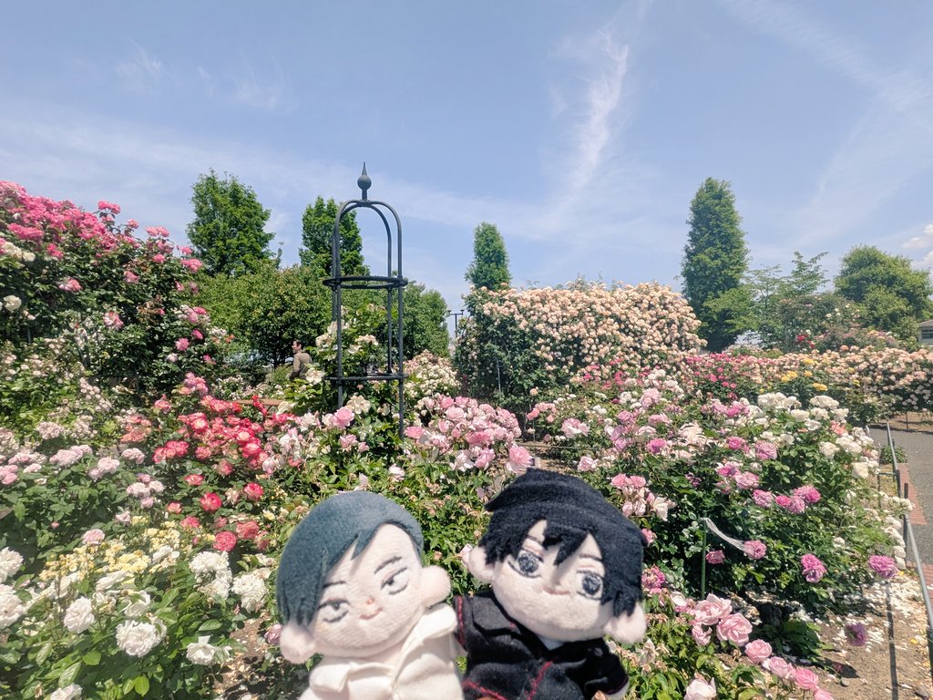 練馬偵察の偵察 tweet media
