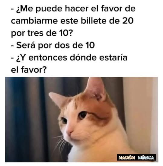 El Meme tweet media