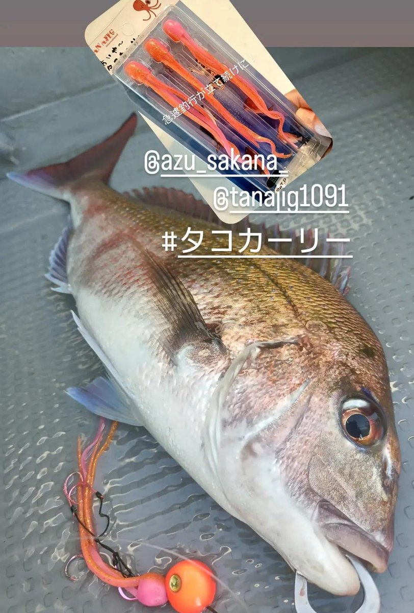 ゴンのすけ tweet media