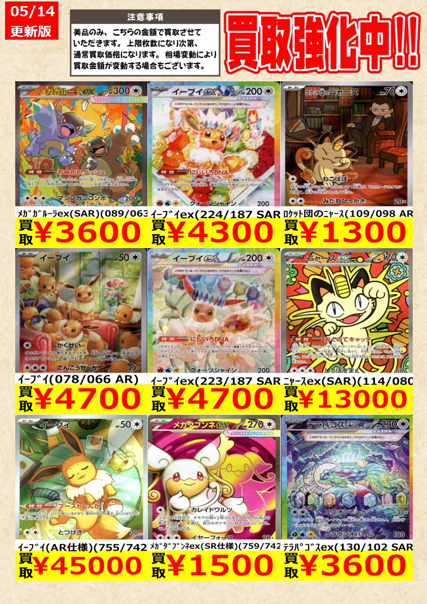 ポケモンカード】 ﾒｶﾞﾙｶﾘｵex(SAR)(088/063) ｲｰﾌﾞｲex(224/187 SAR) 告知