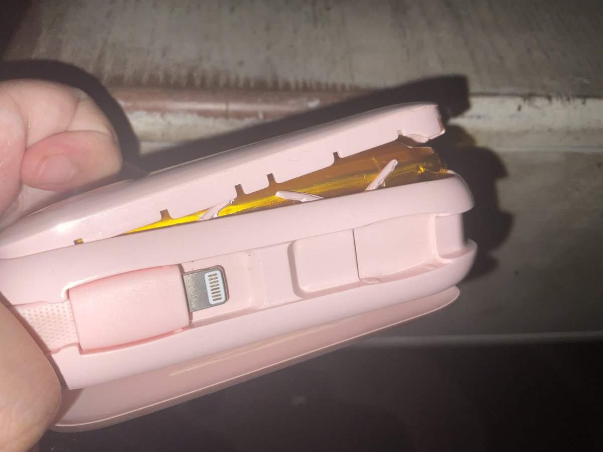 CatJard tweet media