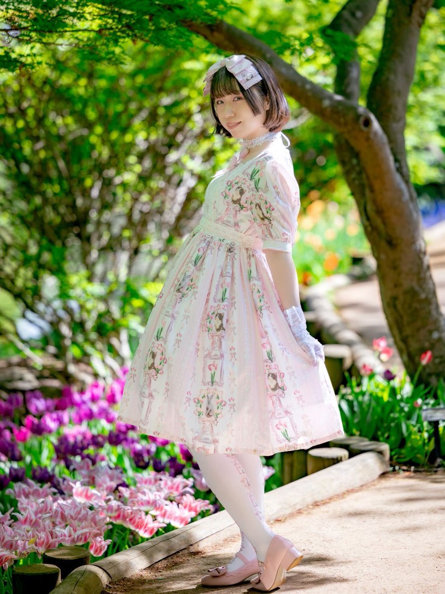 hanabusa_mari's tweet photo. Royal Princess Aliceさんの🌷🐱💓

#ロリィタ https://t.co/NUtxTI7xST