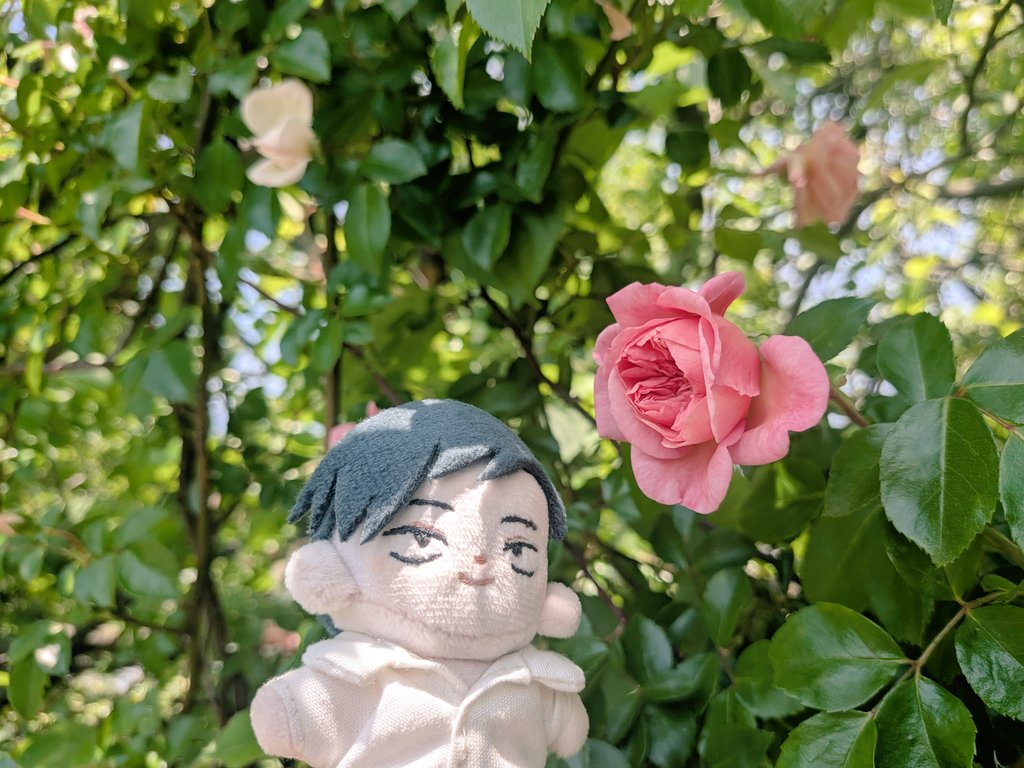 練馬偵察の偵察 tweet media