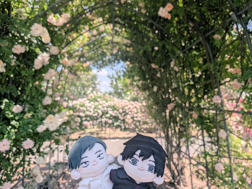 練馬偵察の偵察 tweet media