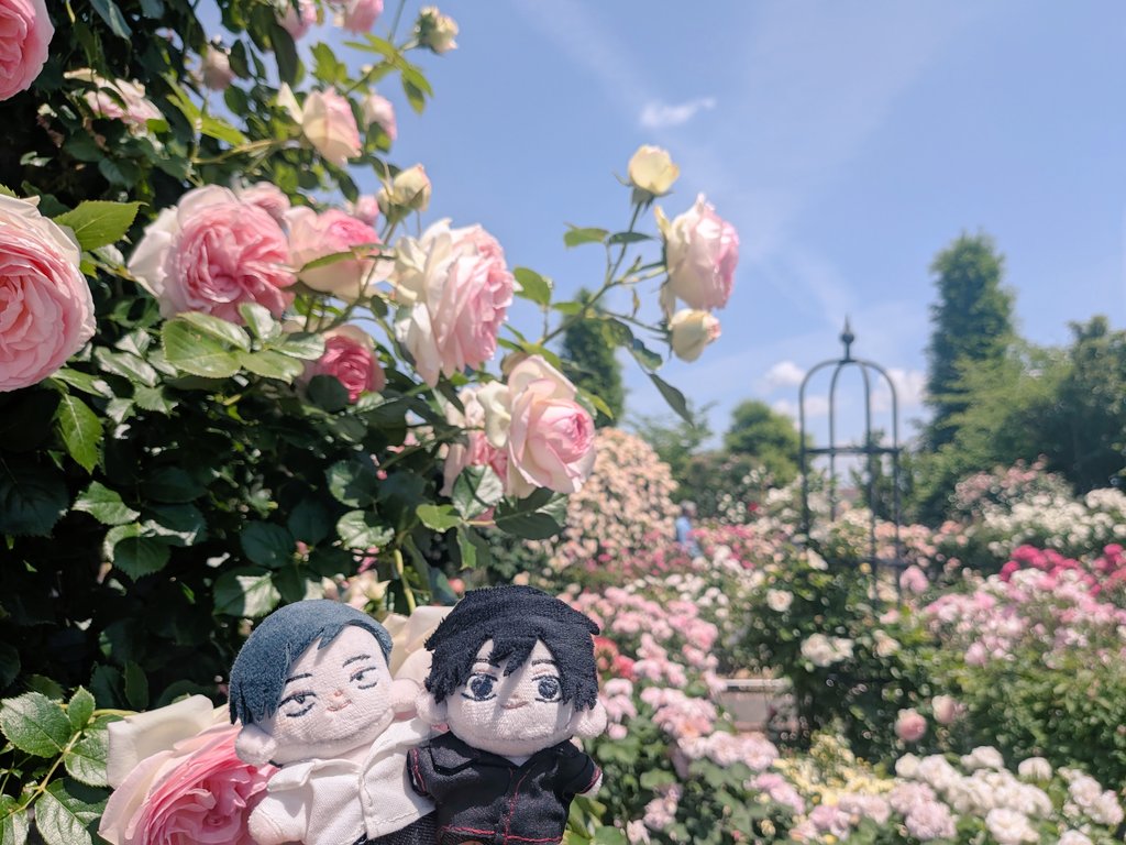 練馬偵察の偵察 tweet media