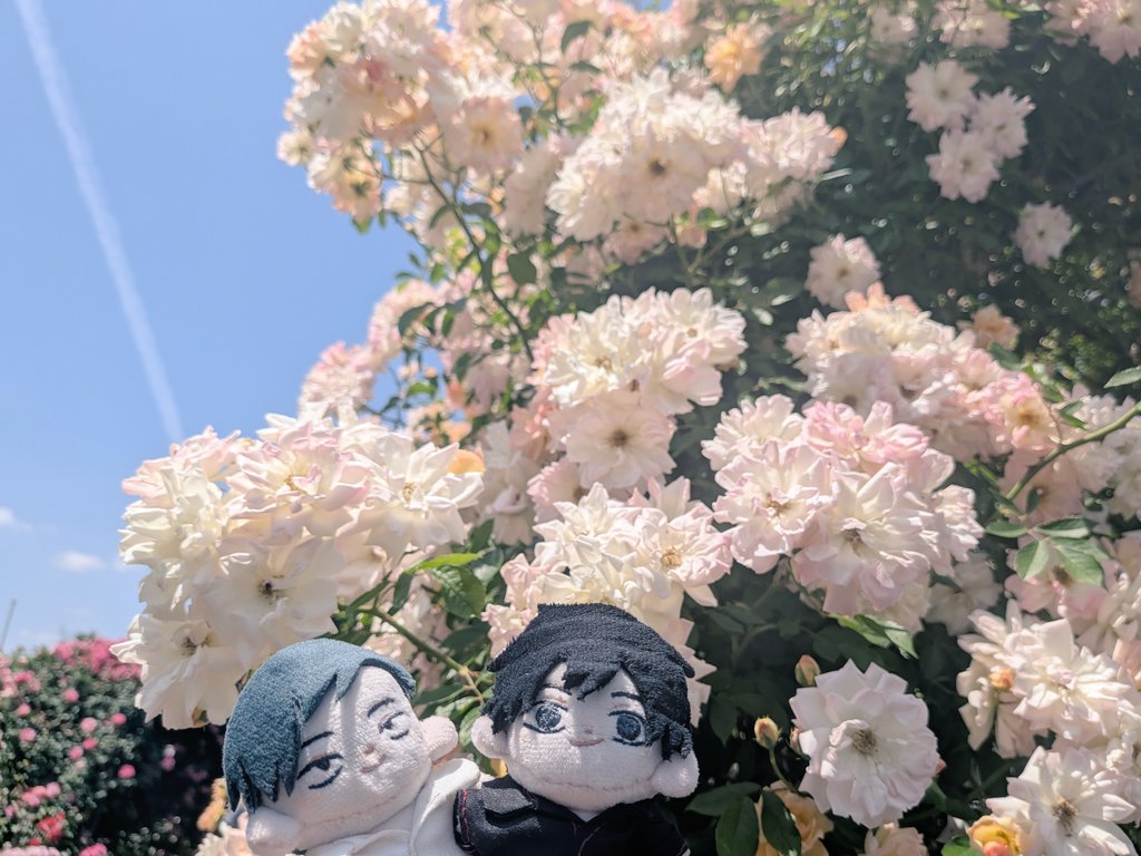練馬偵察の偵察 tweet media