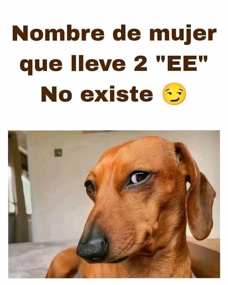 El Meme tweet media
