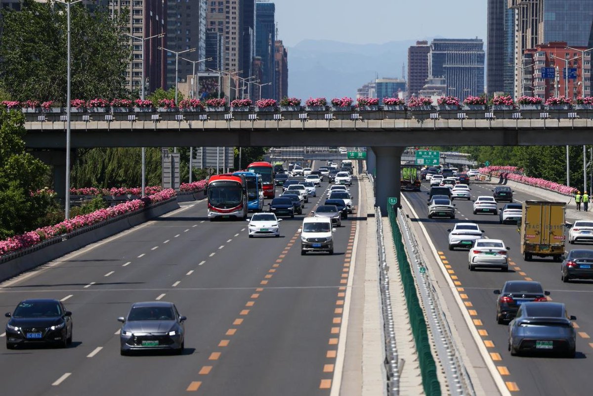China_says's tweet photo. Early summer brings a vibrant burst of color to Beijing. From bustling modern highways and towering skylines to historic traditional architecture, beautifully blooming Chinese roses now grace the city streets, creating a picturesque urban landscape. https://t.co/QIIfssEWSd