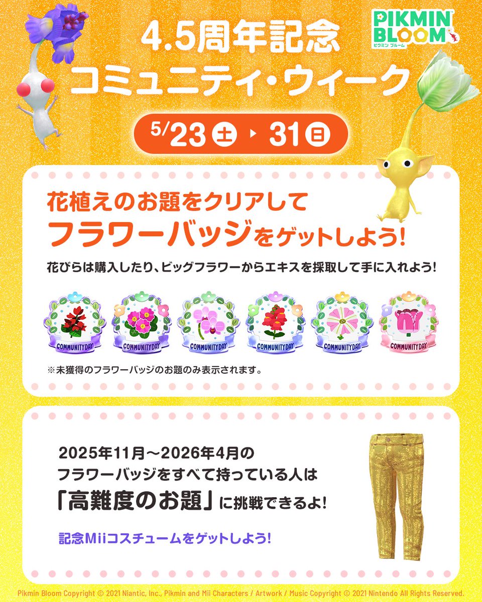 Pikmin Bloom Japan │ ピクミンブルーム tweet media