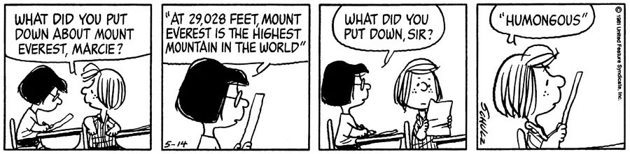 snoopy and friends tweet media