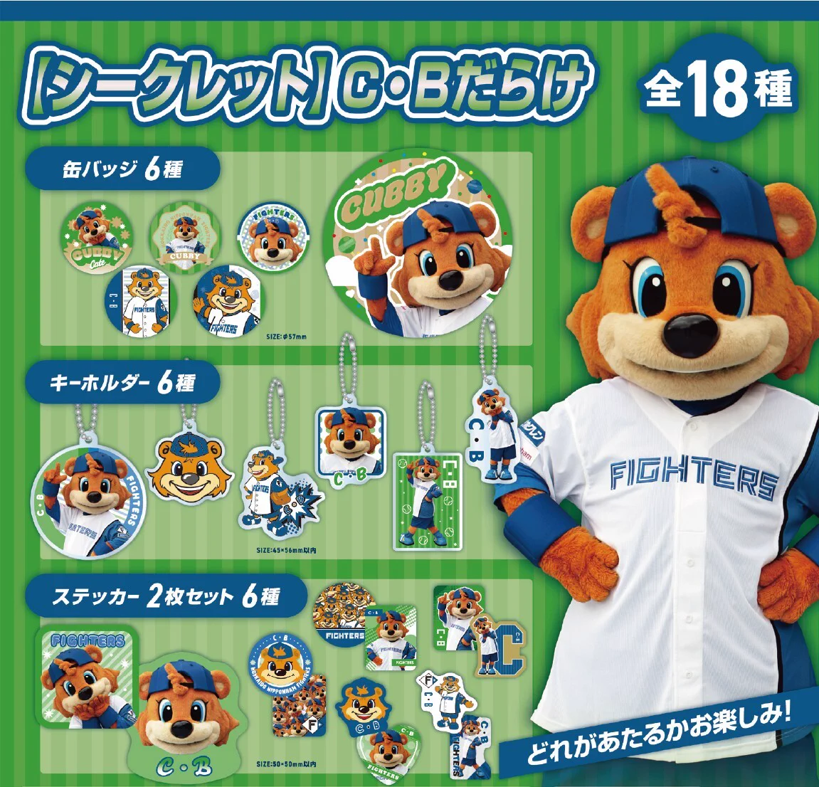 北海道日本ハムファイターズ グッズ【公式】 on X: 