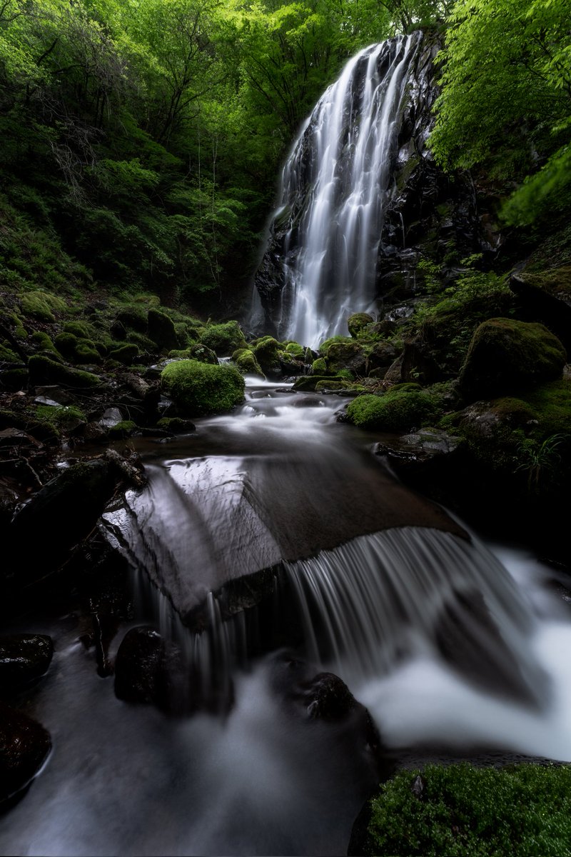 tokyocamerajp's tweet photo. 東京カメラ部Xアカウントへの03Ns1996さんの投稿作品。リポスト＆いいね！大歓迎です。
https://t.co/1tygQaC1Bp
#東京カメラ部 #Photograph #tokyocameraclub https://t.co/8UPNgJoYGS