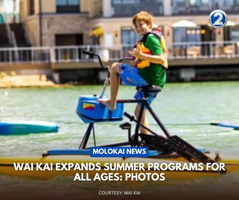 KHONnews's tweet photo. Summer programs are expanding at Wai Kai 🌊 Activities for kids, teens, adults, and families: https://t.co/eRQ1pr4qIH
#summercamp #summerprogram #hawaiisummercamps #hawaii #hawaiiwaterfun #keiki #hawaiisummer https://t.co/VrdUmmKPBM