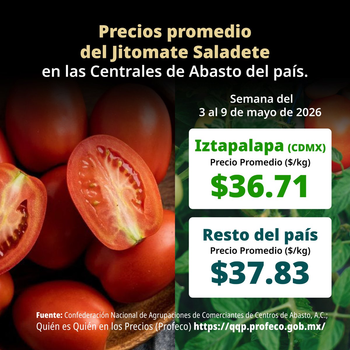 Profeco's tweet photo. 🍅 Así se encuentra el precio del #jitomate Saladet en la @CdeAbastoCDMX.
Antes de comprar, consulta el Quién es Quién en los Precios y compara para que tu dinero rinda más: https://t.co/Vg4bn0JiCc
#Profeco #ConsumoInformado #QuiénEsQuiénEnLosPrecios https://t.co/IhjI9Q3m2L
