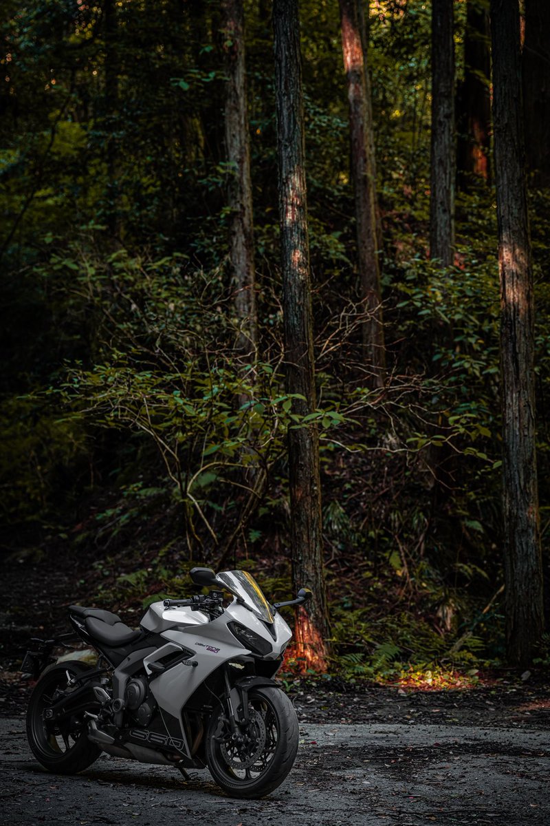 nextgrrider's tweet photo. 自然の中でも映える愛車🌱
都会で撮るのとはまた雰囲気が変わってすごくお気に入りです(´꒳｀*)

#DAYTONA660 
#TRIUMPH
#TRIUMPHJAPAN https://t.co/p1s7xvfspS