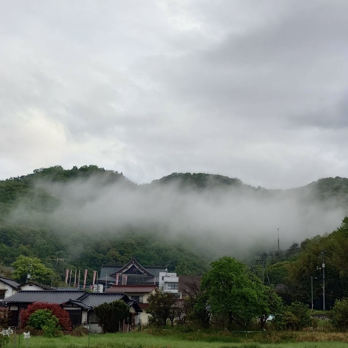 saijoinari's tweet photo. 雨上がりに本殿前を撮影しました。立ち込める霧が龍のようで、幻想的な光景です。

#最上稲荷 #岡山 #寺 #パワースポット #お寺好きな人と繋がりたい #鳥居 #日本三大稲荷 #okayama https://t.co/KzKn3c04C2