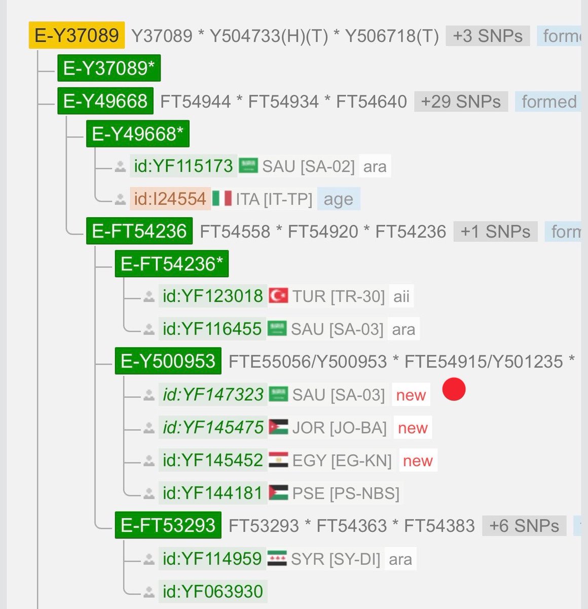 محمد الجبري السنبسي tweet media