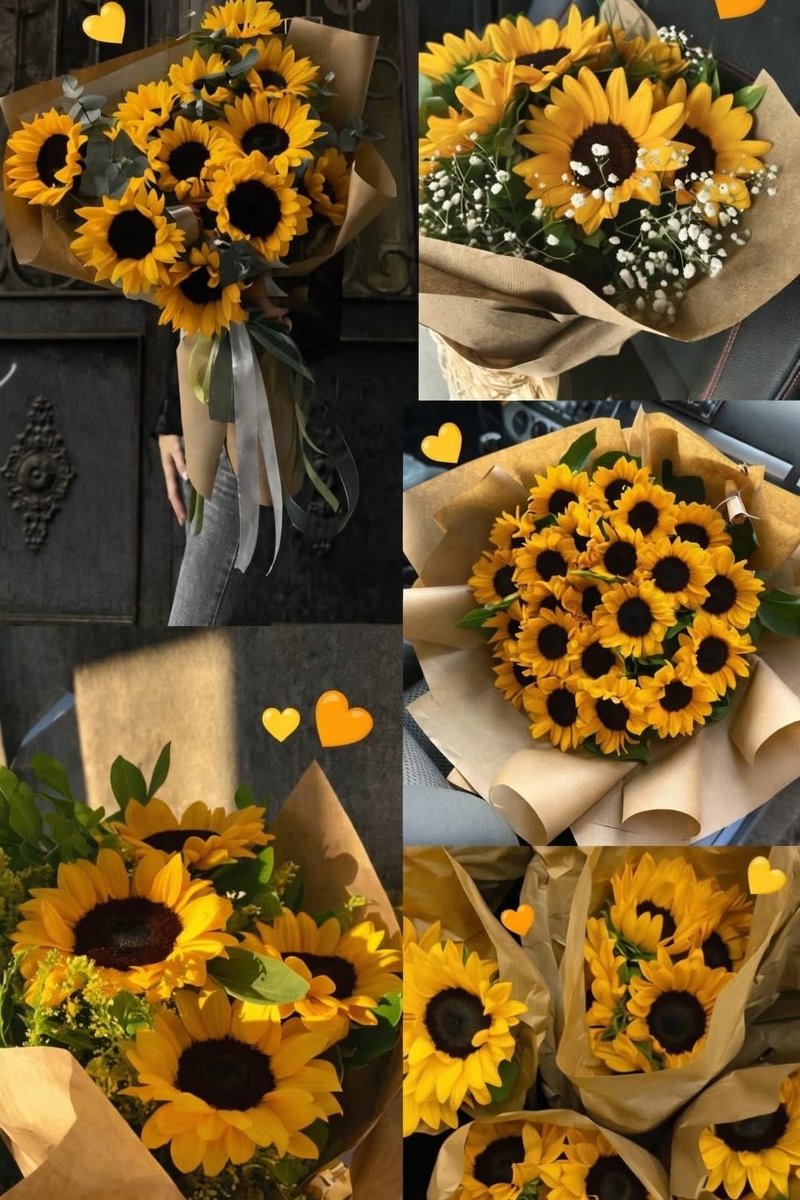 SUNFLOWER 🌻 tweet media
