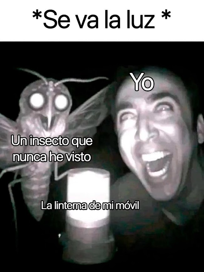 Rincón Curioso tweet media