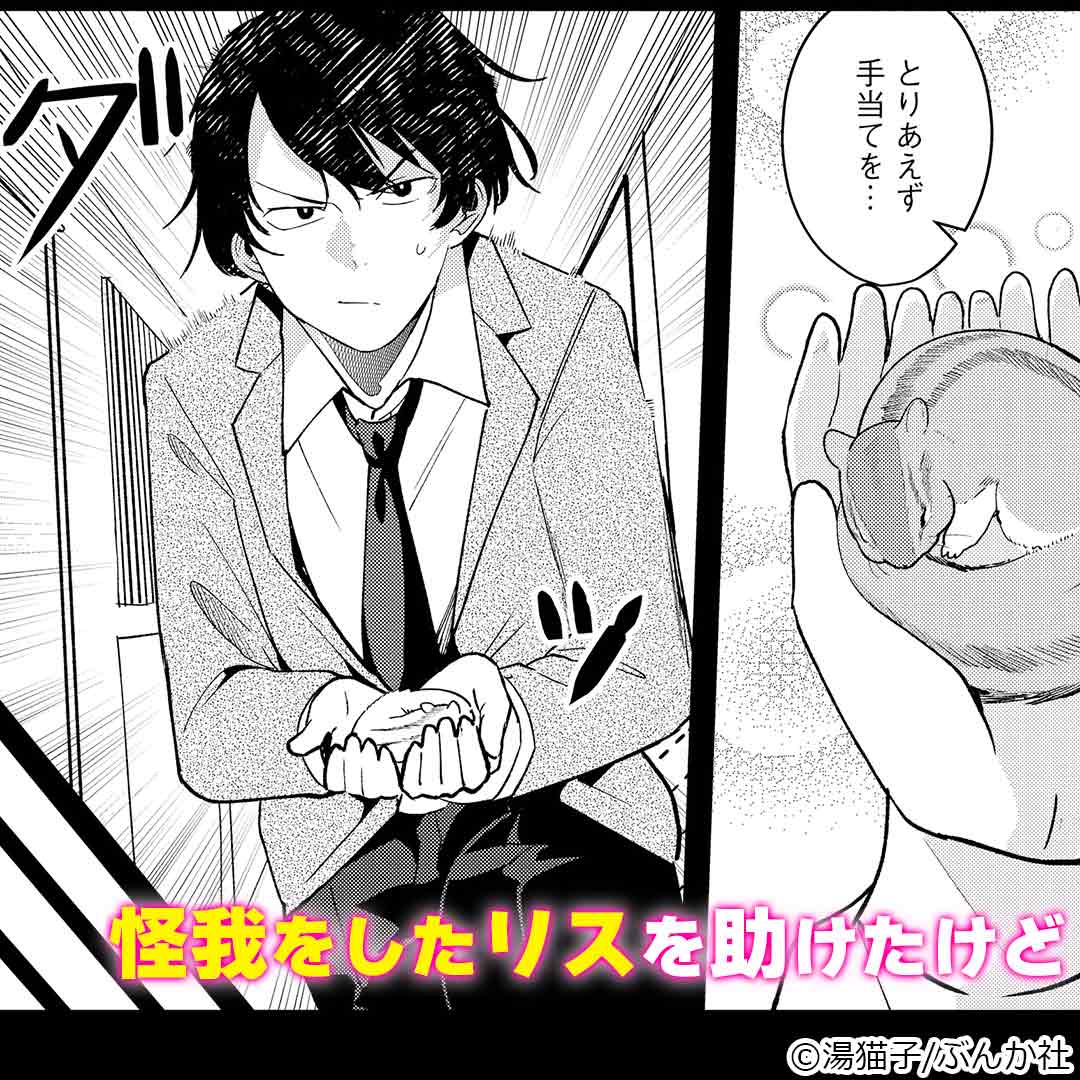 ComicFestaPR_MENS tweet media