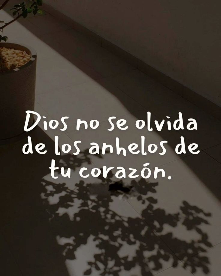 Bendición en Línea tweet media