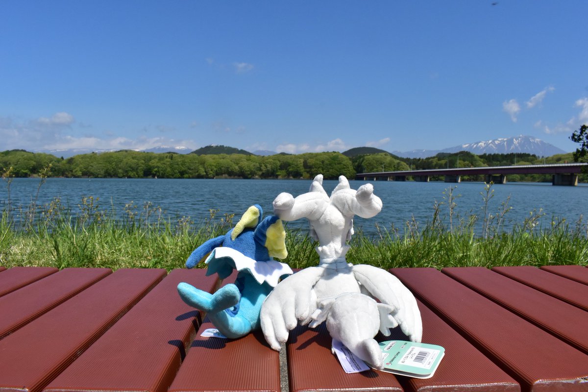 Soragamer13's tweet photo. レシラムちゃんと色んなところを散歩するシャワーズ君 #シャワーズ #Vaporeon #レシラム #Reshiram #ポケモン #pokemon #ぬい撮り #ぬい活 #ぬいぐるみ #plush https://t.co/P8NB37v9ET