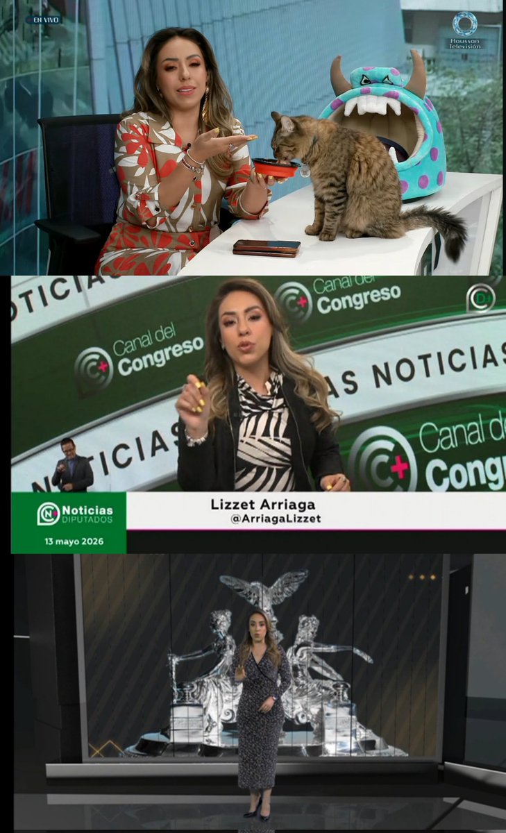 luisunamrebel's tweet photo. @ArriagaLizzet ❤️😍😍😍😍😍😍😍😍
#QRR
#ReformasConstitucionales 
#NoticiasDiputados 
Siempre al pendiente de ti mi bella @ArriagaLizzet https://t.co/39VN57CtIn