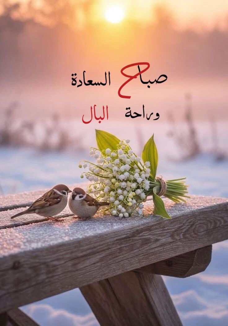 Fffu111's tweet photo. -
أحمل الأُنس في قلبك 

تجد في كل مكانٍ تقصده مسرّات

صباحكم سعادة🩷🌸🦋 https://t.co/untDmINl4u
