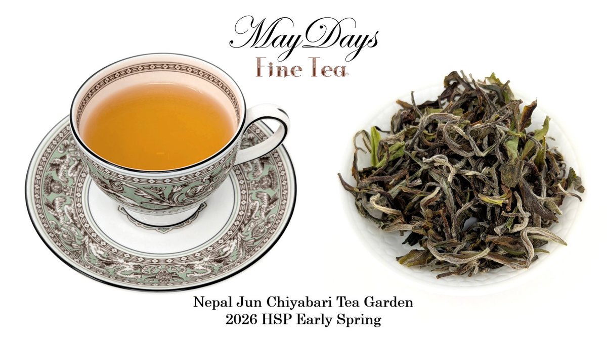 maydaystea's tweet photo. 今年の新茶🍃2026春摘み紅茶を好評販売中です！

■ #ジュンチヤバリ 茶園 2026 HSP Early Spring
早春の風のような爽やかな香りと味わい、花の蜜を彷彿とさせる優しい甘さ
繊細で柔らかい雰囲気、春の息吹を感じさせます。

是非お買い求めください🛒
https://t.co/ZZxyro3g8j

#ジュンチャバリ https://t.co/kA5wWHcF7d