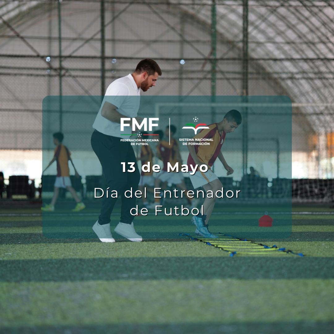 Federación Mexicana de Futbol tweet media