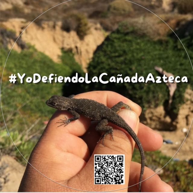 J_rge's tweet photo. 📍 En Playas de Tijuana, #YoDefiendoLaCañadaAzteca

https://t.co/nHwZFNedFz https://t.co/6hEiZrpw3v