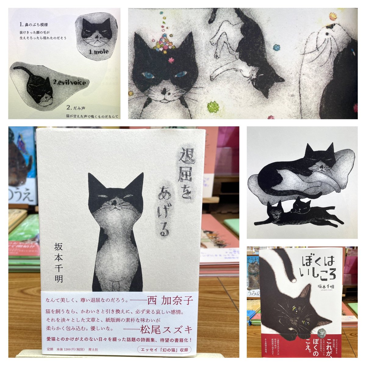 猫本専門 神保町にゃんこ堂_姉川書店 (@anealoha65) / Posts / X