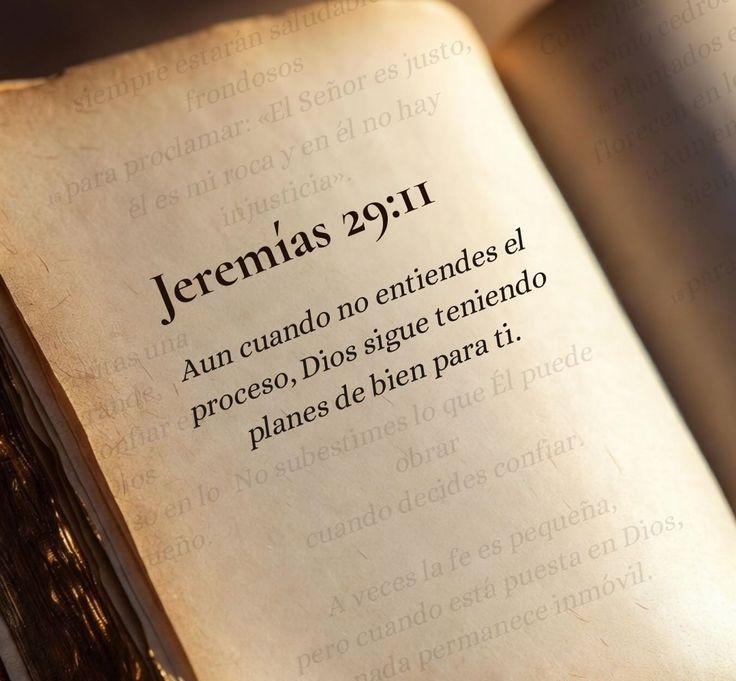 Bibliaenlinea's tweet photo. https://t.co/9HJQ2j5XAn