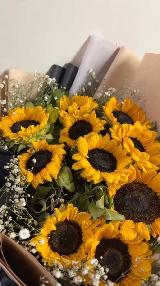 SUNFLOWER 🌻 tweet media