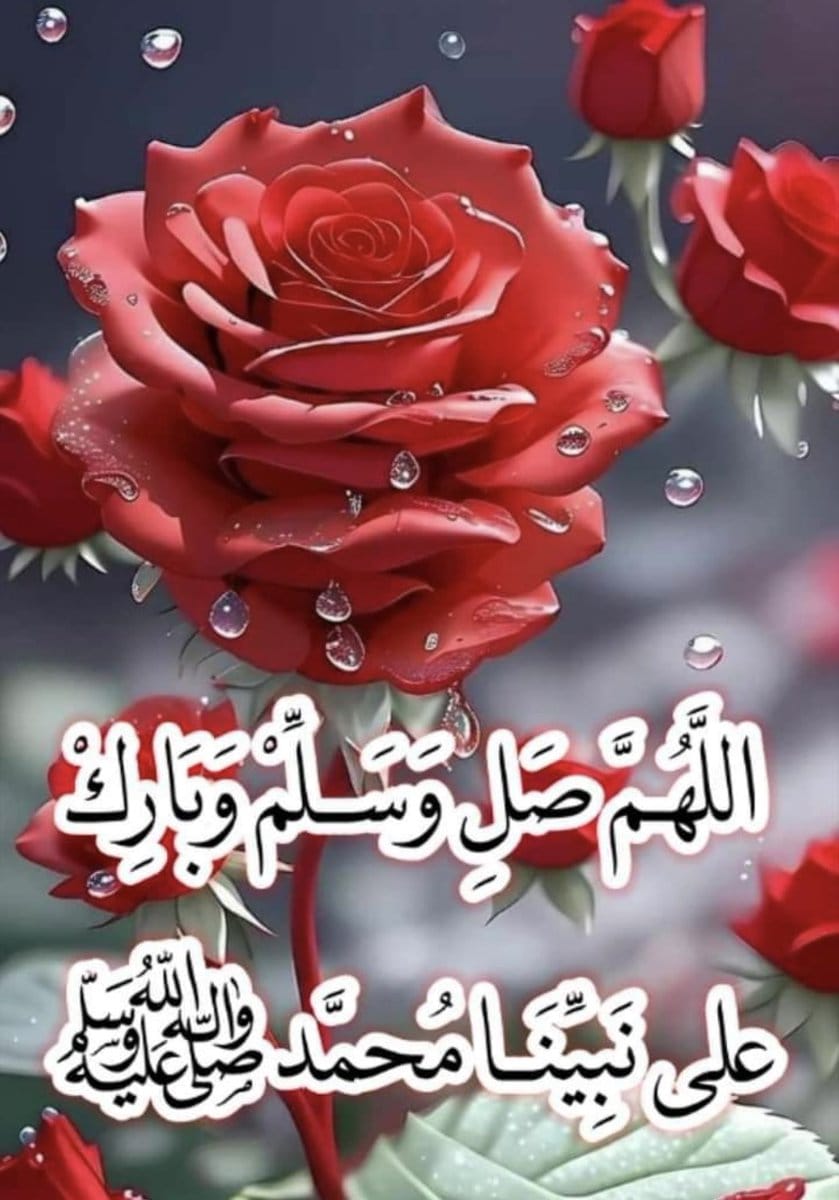 🌸maha🌸 tweet media