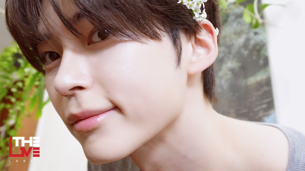 SUNG HANBIN GLOBAL tweet media