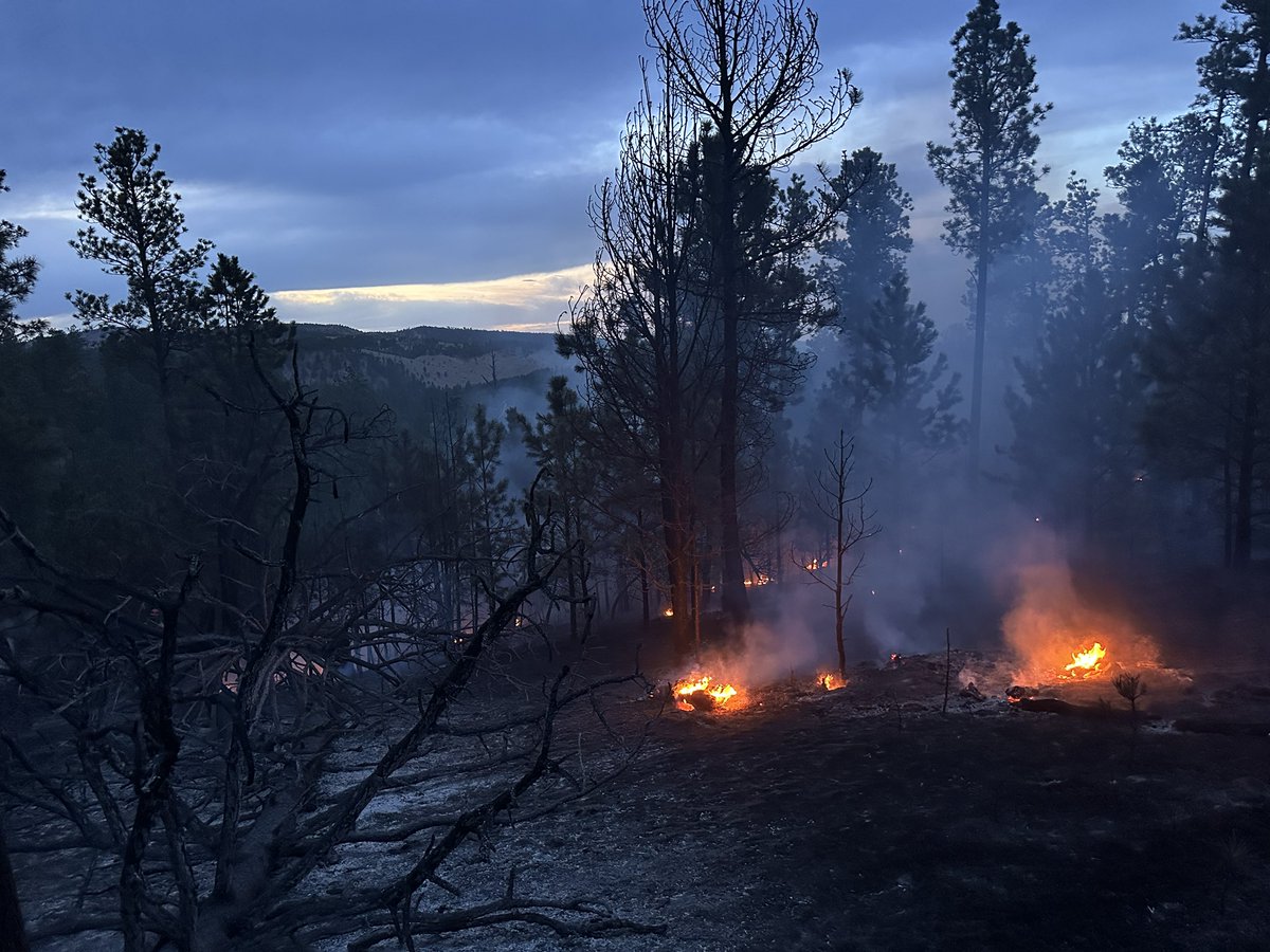 SD Wildland Fire (SDWF) (@SDWildlandFire) / Posts / X