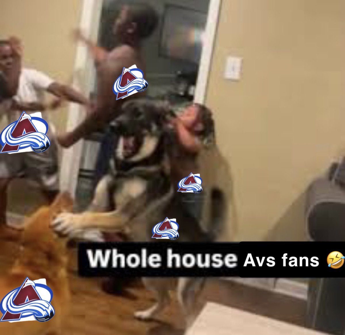 #1 macdrouin fan tweet media