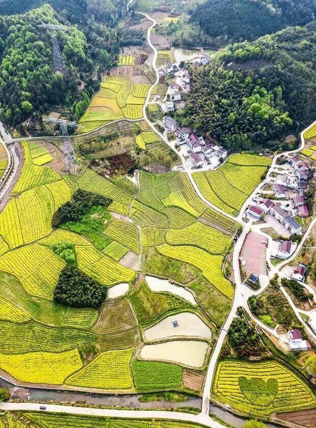 HelloWuhu's tweet photo. As summer arrives, warmth gently embraces Wuhu. From outdoor camping and wellness cuisine to rural scenery and slow-paced village life, the city creates an ideal nearby escape for a relaxing weekend with family and friends. Plan a trip to Wuhu and enjoy the city's charm. https://t.co/dGLqvL0V1j