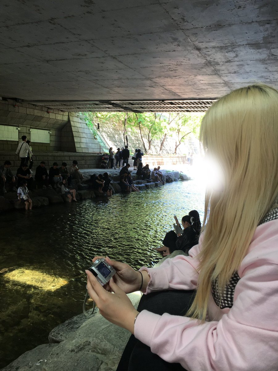 dddojjin's tweet photo. 디카로 담는 여름 https://t.co/pPefkTY2HT