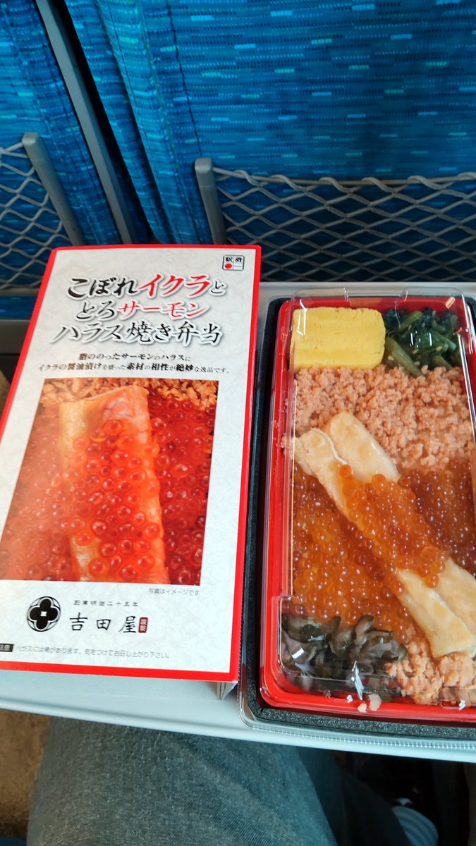 極楽蝶 tweet media