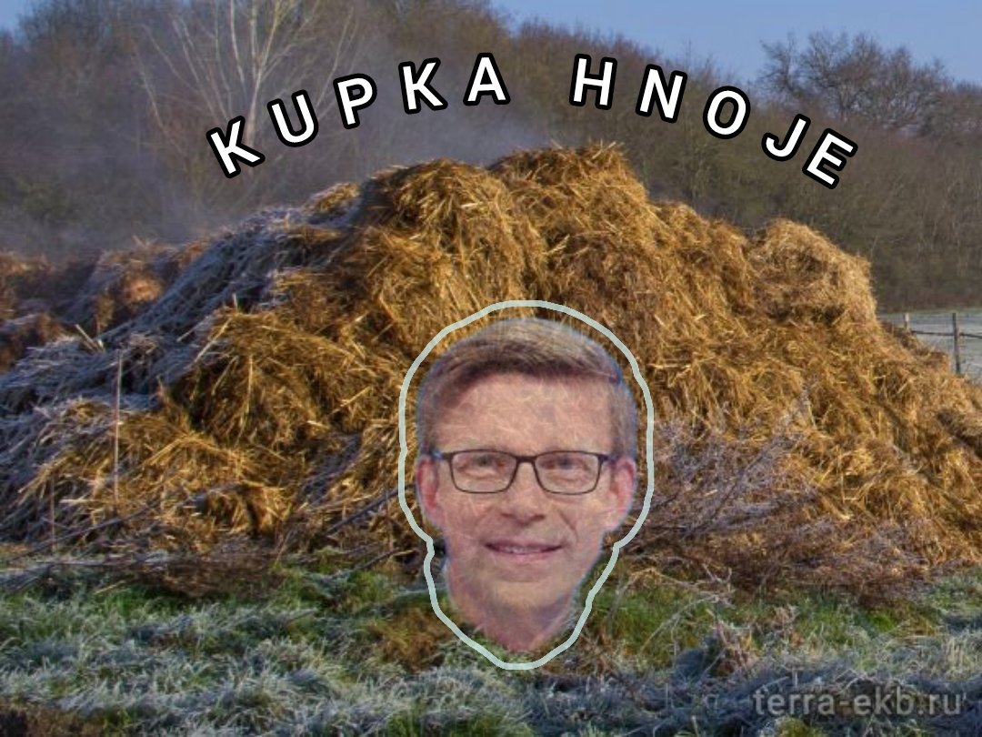 Cink Jiří 🇨🇿 🍀🇸🇰 tweet media