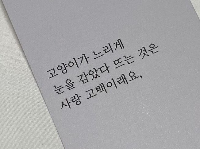 아치 tweet media