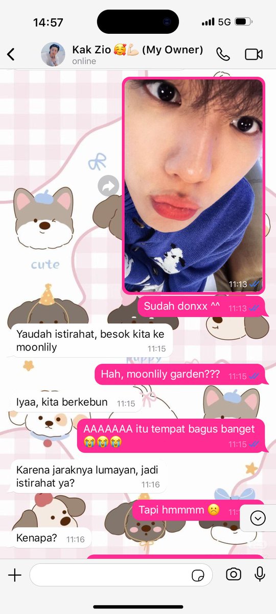 celestiaphile's tweet photo. 🐾 ( 🐶 ) ── 182

Ngga bisa tidur https://t.co/9jxjIAwRNT